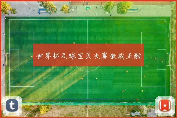 世界杯足球宝贝决赛激战正酣