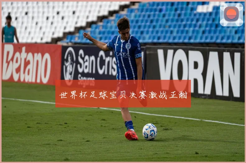 世界杯足球宝贝决赛激战正酣