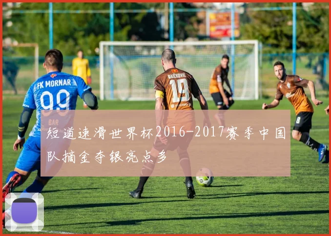 短道速滑世界杯2016-2017赛季中国队摘金夺银亮点多