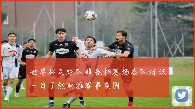 世界杯足球队旗亮相赛场各队标识一目了然助推赛事氛围