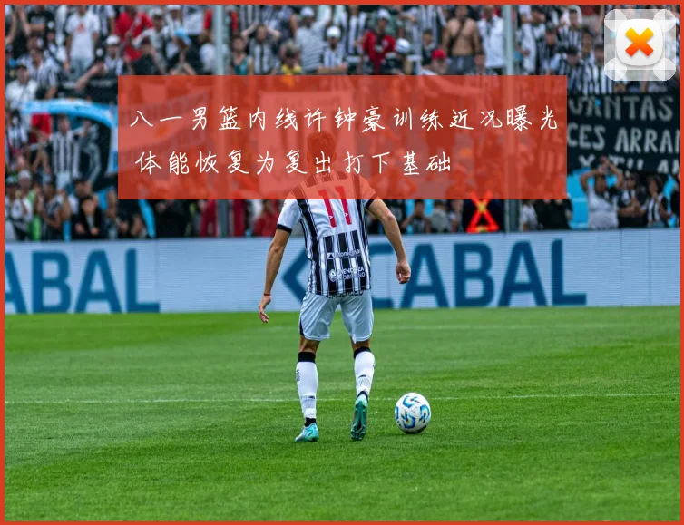 八一男篮内线许钟豪训练近况曝光 体能恢复为复出打下基础